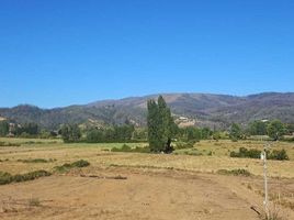  Terreno (Parcela) en venta en Chile, Santa Juana, Concepción, Biobío, Chile