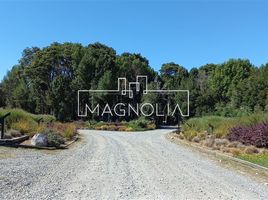  Terreno (Parcela) en venta en Llanquihue, Los Lagos, Puerto Montt, Llanquihue