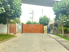  Land for sale in Mala, Lima, Mala