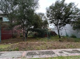  Grundstück zu verkaufen in Naucalpan De Juarez, Mexico, Naucalpan De Juarez