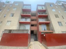 3 Schlafzimmer Appartement zu verkaufen in Puente Piedra, Lima, Puente Piedra