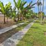  Terreno (Parcela) en venta en Cañete, Lima, San Luis, Cañete