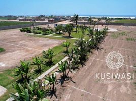  Terreno (Parcela) en venta en San Luis, Cañete, San Luis
