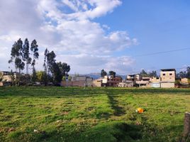  Terreno (Parcela) en venta en Cajamarca, Cajamarca, Cajamarca, Cajamarca