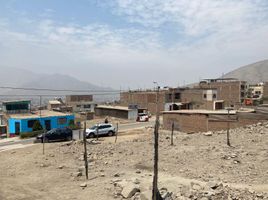  Grundstück zu verkaufen in San Juan De Lurigancho, Lima, San Juan De Lurigancho, Lima, Lima, Peru
