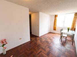 3 Schlafzimmer Appartement zu verkaufen in Puente Piedra, Lima, Puente Piedra