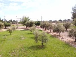  Terreno (Parcela) en venta en Lujan De Cuyo, Mendoza, Lujan De Cuyo