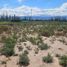  Terreno (Parcela) en venta en Lujan De Cuyo, Mendoza, Lujan De Cuyo