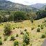  Land for sale in Nocaima, Cundinamarca, Nocaima