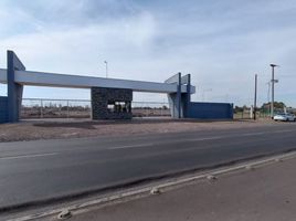  Terreno (Parcela) en venta en Maipu, Mendoza, Maipu