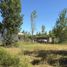  Land for sale in Confluencia, Neuquen, Confluencia