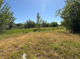  Land for sale in Confluencia, Neuquen, Confluencia