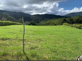  Terrain for sale in San Carlos, Antioquia, San Carlos