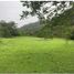  Terrain for sale in San Carlos, Antioquia, San Carlos