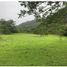  Terrain for sale in San Carlos, Antioquia, San Carlos