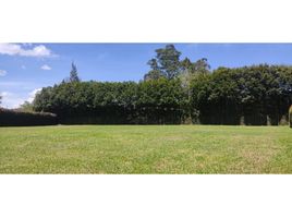 Grundstück zu verkaufen in Rionegro, Antioquia, Rionegro