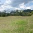  Terreno (Parcela) en venta en Envigado, Antioquia, Envigado