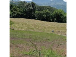  Terreno (Parcela) en venta en Venecia, Antioquia, Venecia