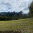 Terrain à vendre à Retiro, Antioquia, Retiro