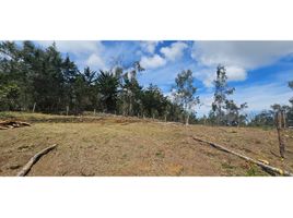  Land for sale in Envigado, Antioquia, Envigado