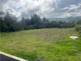  Land for sale in Envigado, Antioquia, Envigado