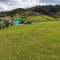  Land for sale in Envigado, Antioquia, Envigado