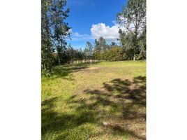  Land for sale in Envigado, Antioquia, Envigado