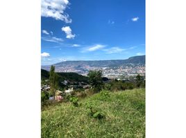  Land for sale in Antioquia Museum, Medellin, Medellin