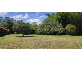  Terreno (Parcela) en venta en Rionegro, Antioquia, Rionegro