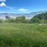  Land for sale in Buenos Aires, Cauca, Buenos Aires