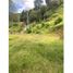  Land for sale in Buenos Aires, Cauca, Buenos Aires