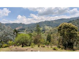  Terreno (Parcela) en venta en Rionegro, Antioquia, Rionegro