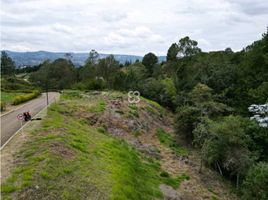  Terreno (Parcela) en venta en Guarne, Antioquia, Guarne