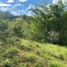  Land for sale in Tibu, Norte De Santander, Tibu