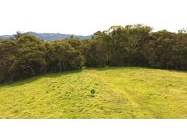  Land for sale in La Ceja, Antioquia, La Ceja