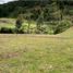 Terrain à vendre à Rionegro, Antioquia, Rionegro, Antioquia, Colombie
