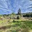  Land for sale in Chile, Vina Del Mar, Valparaiso, Valparaiso, Chile
