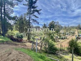  Land for sale in Chile, Vina Del Mar, Valparaiso, Valparaiso, Chile