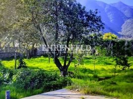  Land for sale in Chile, Quilpue, Valparaiso, Valparaiso, Chile