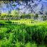 Land for sale in Chile, Quilpue, Valparaiso, Valparaiso, Chile