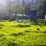  Land for sale in Chile, Quilpue, Valparaiso, Valparaiso, Chile