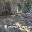  Land for sale in Neuquen, Los Lagos, Neuquen