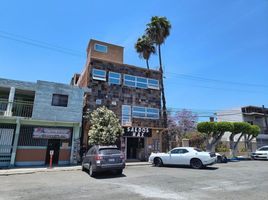 1 Bedroom Condo for rent in Tijuana, Baja California, Tijuana