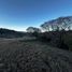  Land for sale in Capital, Salta, Capital