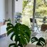Appartement 1 chambre à vendre à Pilar, Buenos Aires, Pilar