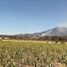  Land for sale in Tala, Jalisco, Tala, Jalisco