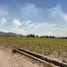  Land for sale in Tala, Jalisco, Tala, Jalisco