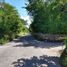  Land for sale in Tekanto, Yucatan, Tekanto