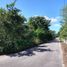  Land for sale in Tekanto, Yucatan, Tekanto