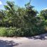  Land for sale in Tekanto, Yucatan, Tekanto
